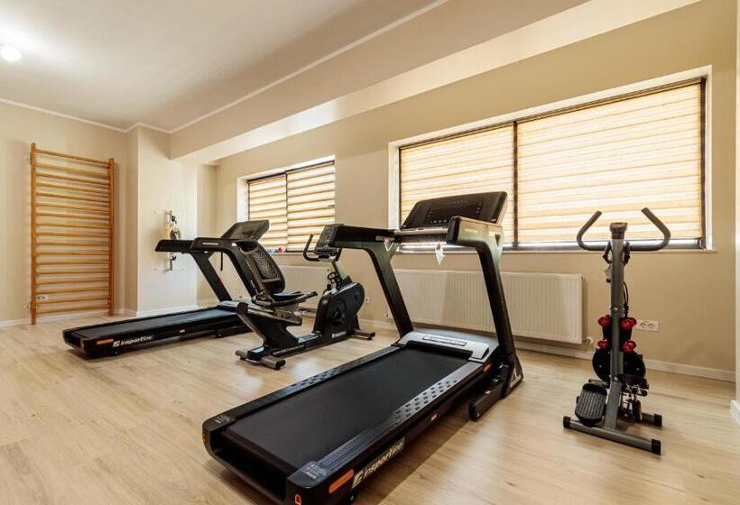 اتاق سوپریور با تخت بزرگ, Imperial Hotel&spa   Baile Olanesti
