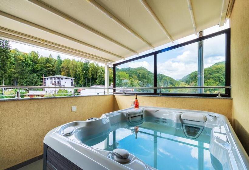 آپارتمان 1 خوابه با تراس, Imperial Hotel&spa   Baile Olanesti
