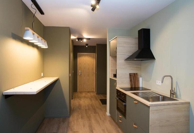 带1个卧室的豪华公寓, Appart Hôtel En Ville