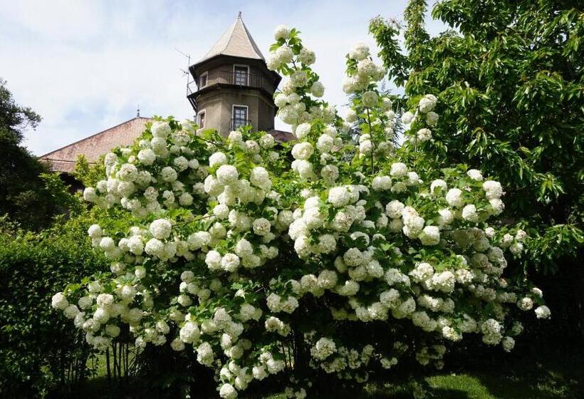 اتاق استاندارد, Château Du Vigny   Maison D Hôtes