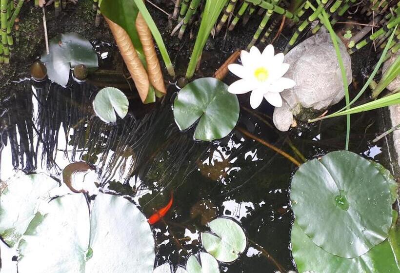 Номер Стандарт, Le Moulin Neuf De Parenty