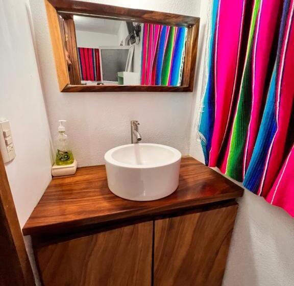 استودیوی استاندارد, Casa Kokoná