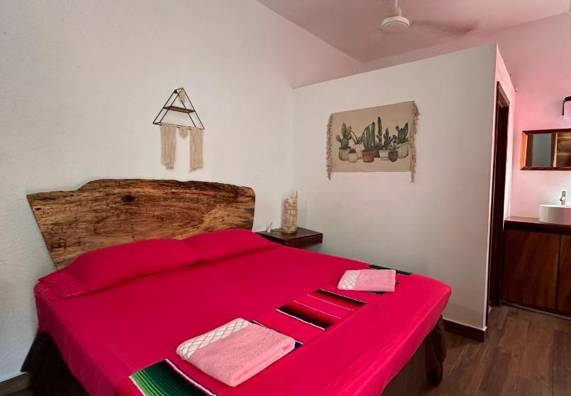 استودیوی استاندارد, Casa Kokoná