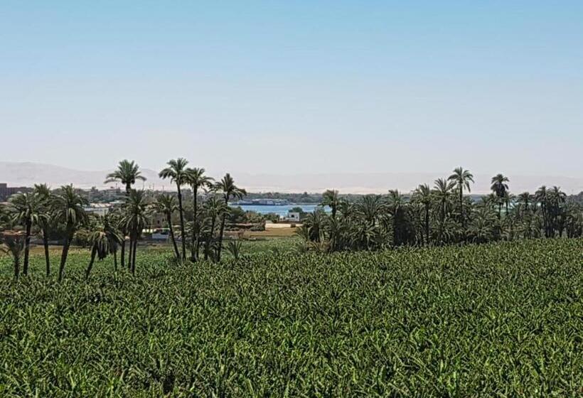 Quarto Deluxe, Elsanosy Family Guest House   Luxor