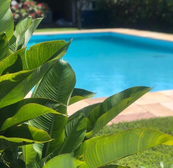 샬레, Hostel 4 Elementos   200 Metros Da Praia De Pernambuco E Do Mar Casado