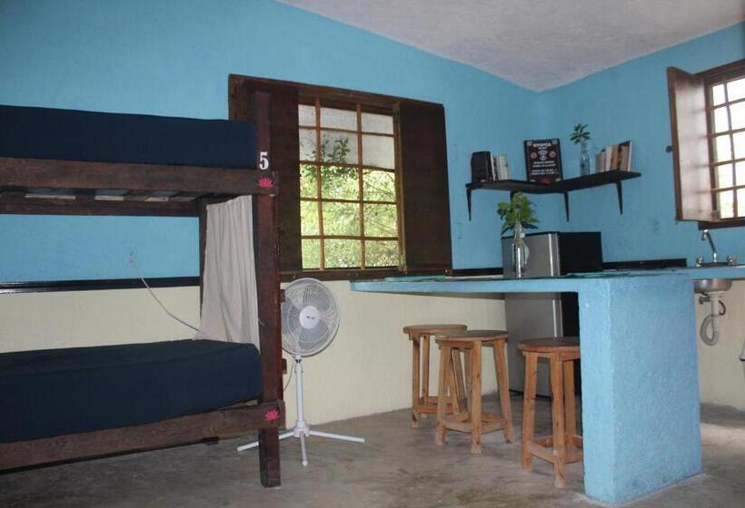 סטודיו משפחתי, Apartment Close To The Town Utopia