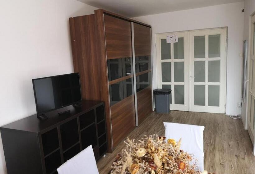 Economy Quadruple Room, Sepsi Relax
