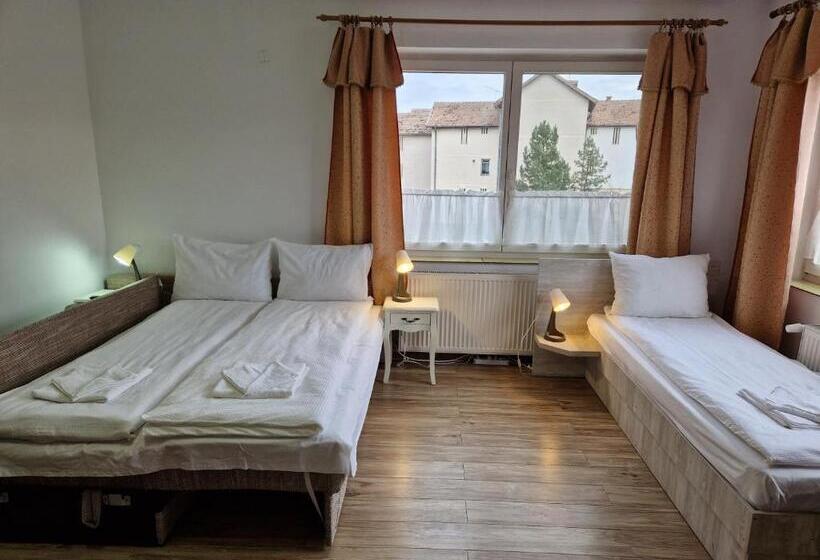 Economy Quadruple Room, Sepsi Relax