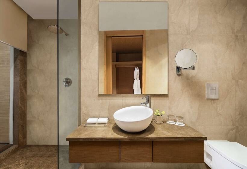 Номер Superior, Radisson Blu Hotel New Delhi Dwarka