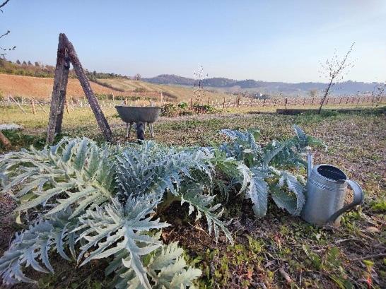 标准间, Monfrà   Ospitalità Rurale, Vigneti E Cantina