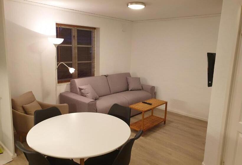 Апартаменты 1 Спальня, Adelsgatan 36 Lägenhetshotell, Gotland Living And Meeting