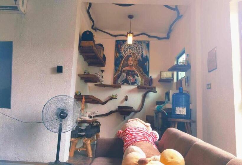 Студия Deluxe, Sanctuaria Treehouses Busuanga