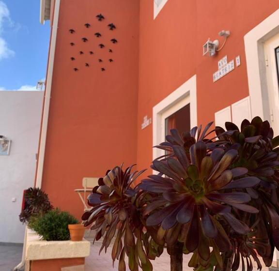 استودیو خانوادگی, Vila Dos Avós