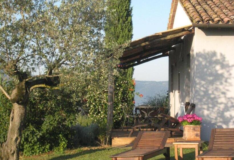 Suíte Júnior, Tenuta Di Canonica