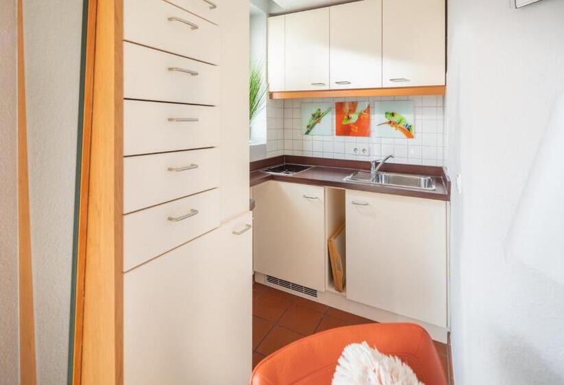 Апартаменты 1 Спальня с Террасой, Appartement Haus Bracht  Direkt Am Kurplatz