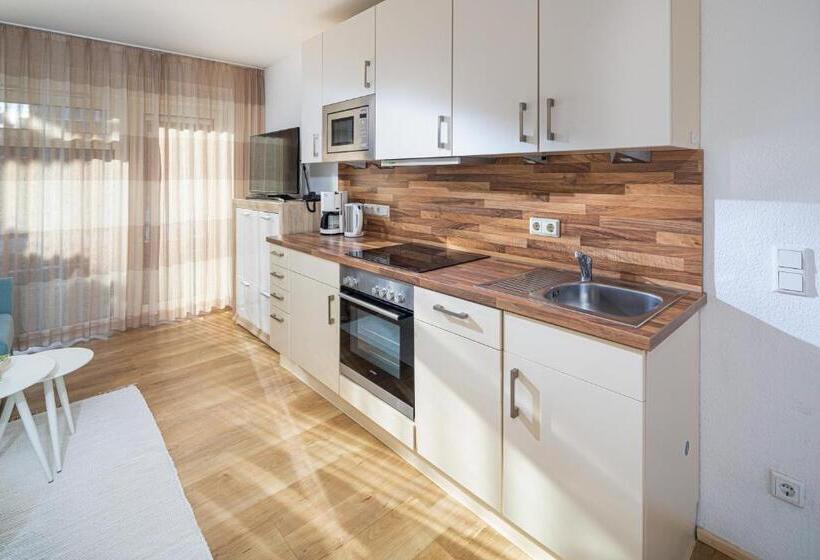 Апартаменты 1 Спальня, Appartement Haus Bracht  Direkt Am Kurplatz