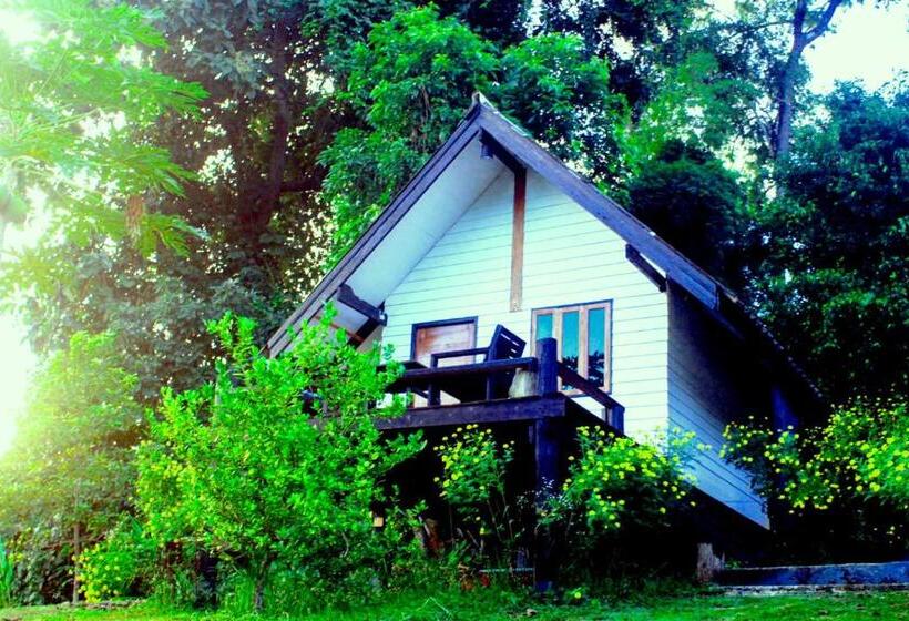 اتاق استاندارد با تخت بزرگ, Jungle Guesthouse
