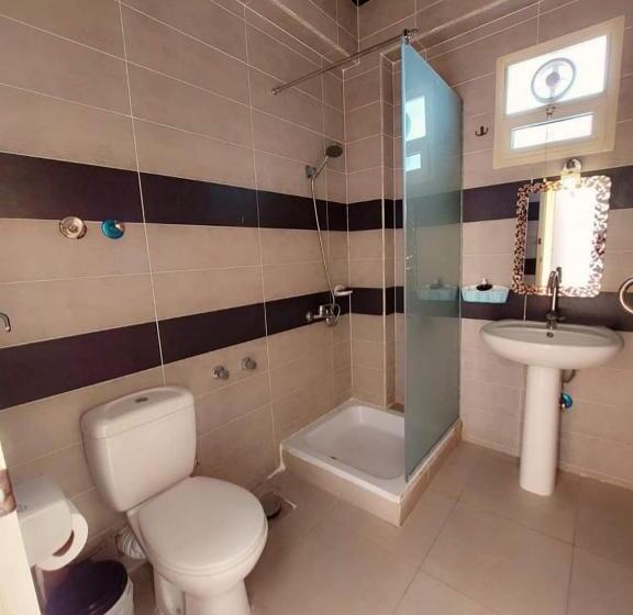 اتاق استاندارد با چشم‌انداز دریا, Dahab Beach Lodge