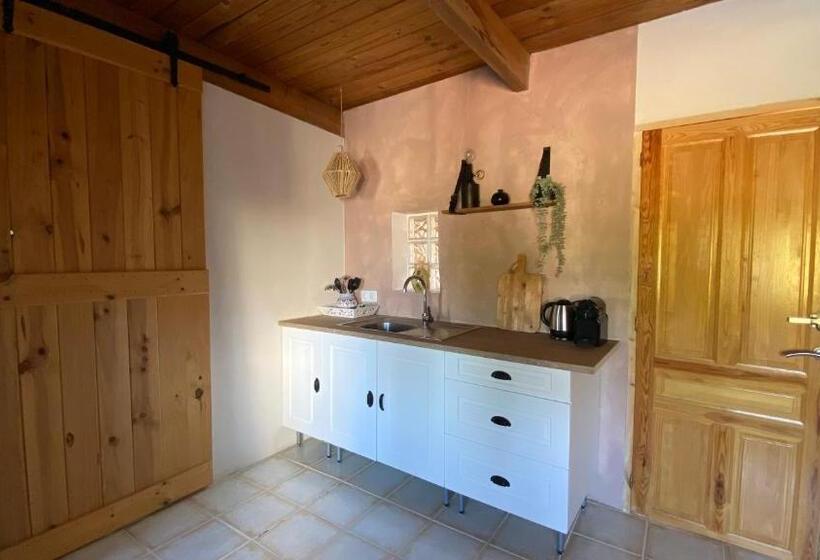 اتاق استاندارد چهار تخته, Finca Del Gecko