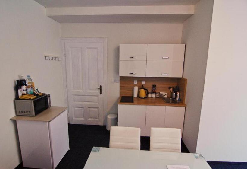 آپارتمان سوپریور 1 خوابه, Aparthotel Vítkovice