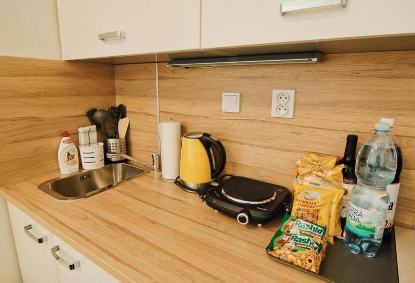 آپارتمان سوپریور 1 خوابه, Aparthotel Vítkovice