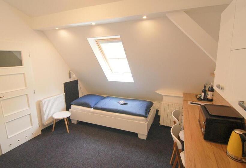 آپارتمان 1 خوابه, Aparthotel Vítkovice