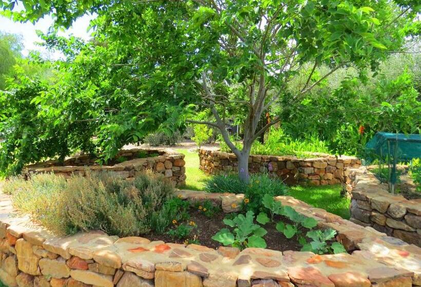 Шале 1 Спальня, Olive Grove House