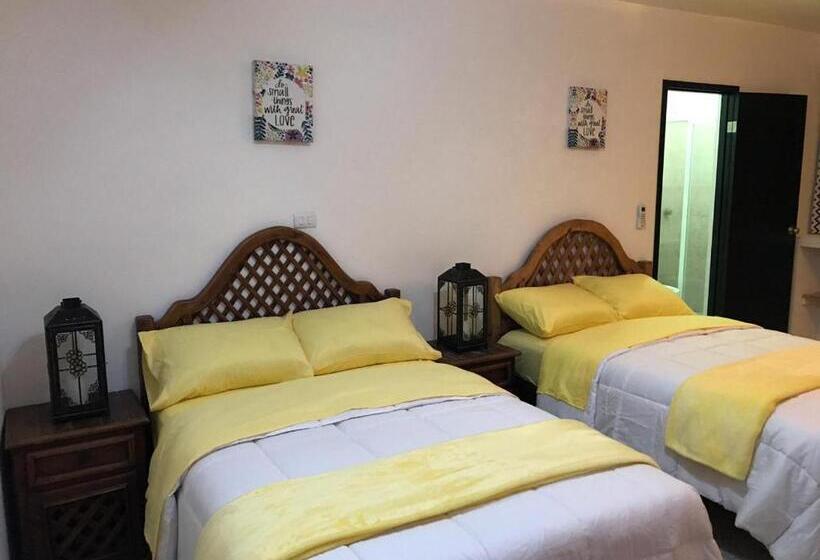 スタンダードルーム, Apartamento&habitación Galeana