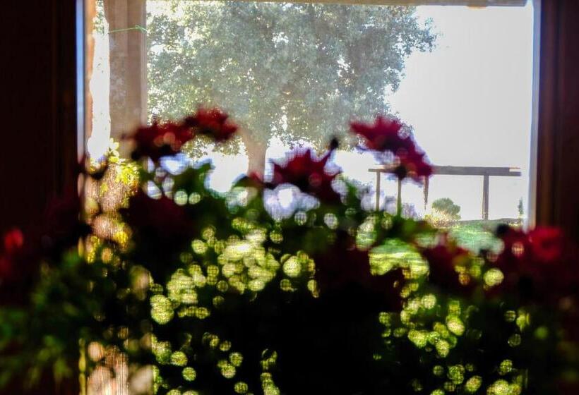 Номер Deluxe, Agriturismo Poggio Monte Saturnia