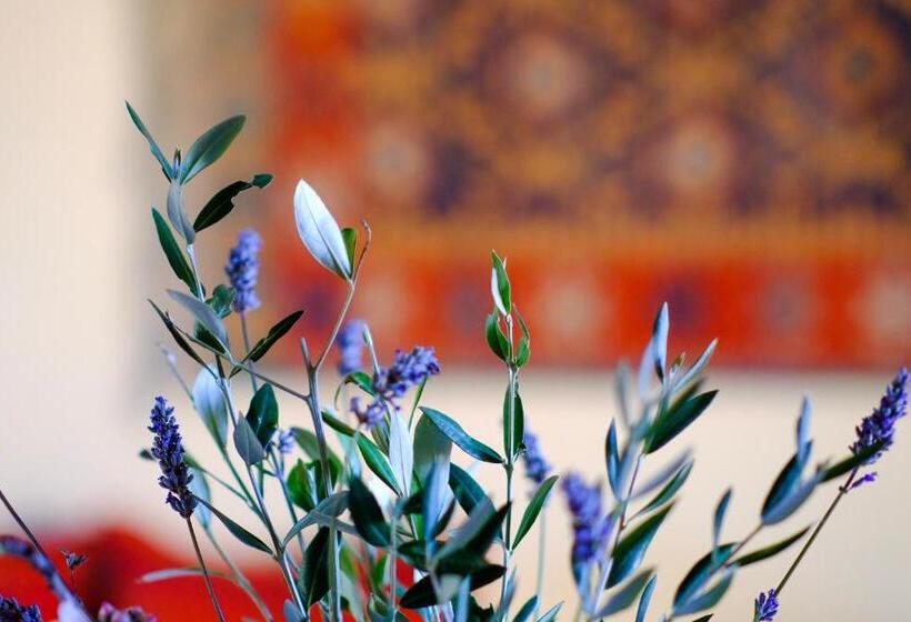 דירת חדר דלוקס, Agriturismo Poggio Monte Saturnia