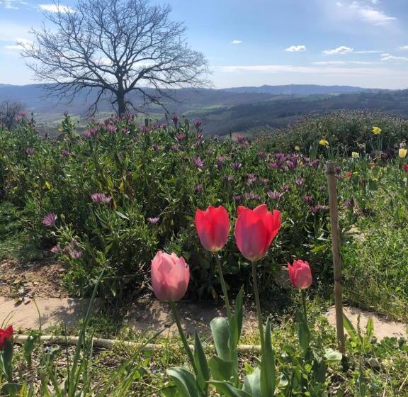 בית, 3 חדרי שינה, Agriturismo Poggio Monte Saturnia