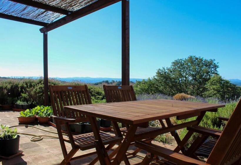בית, 3 חדרי שינה, Agriturismo Poggio Monte Saturnia