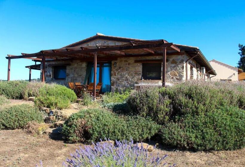 בית, 3 חדרי שינה, Agriturismo Poggio Monte Saturnia