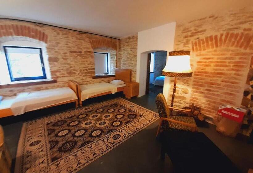 带大床的标准工作室, Statek Two Brooms, Apartment