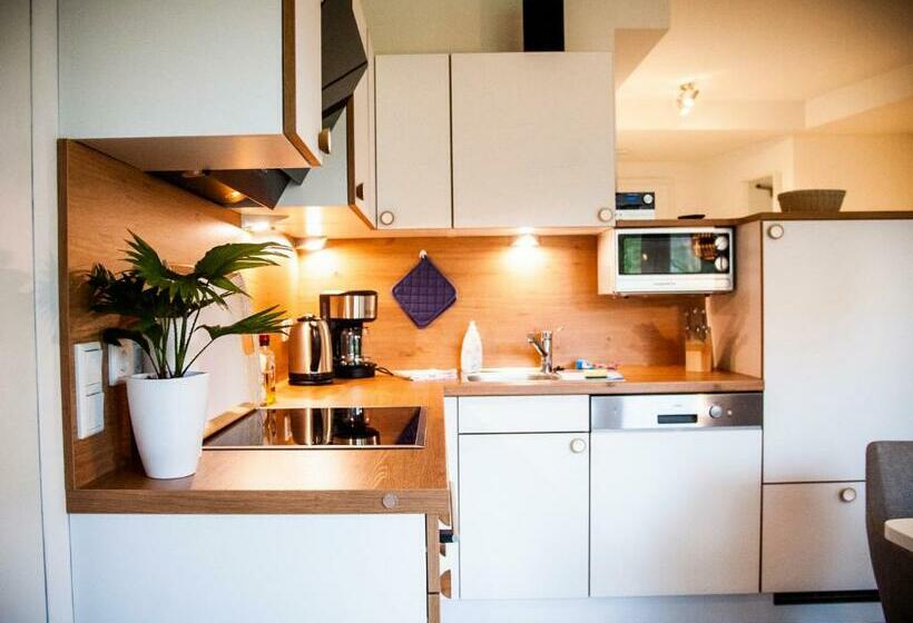 Апартаменты 1 Спальня с Террасой, Apartmenthaus Feldberg
