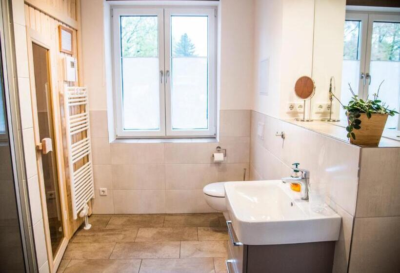 Апартаменты 1 Спальня с Балконом, Apartmenthaus Feldberg