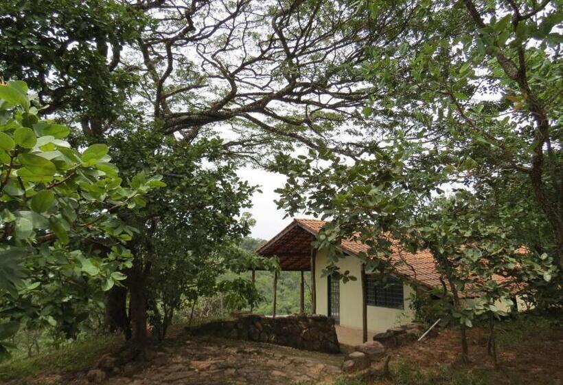 Chalet 1 Dormitório, Fazenda Hotel Bem Ecológico