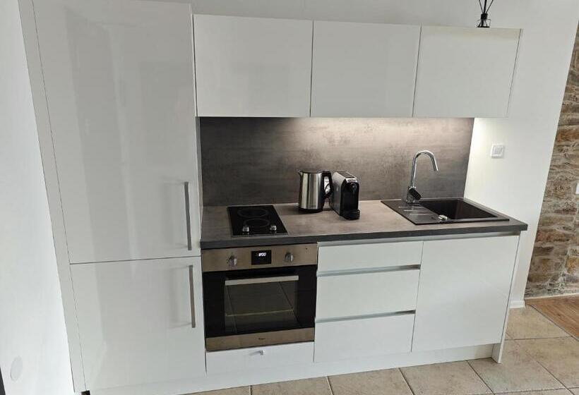 스탠다드 스튜디오, Apartmány 91 Boží Dar