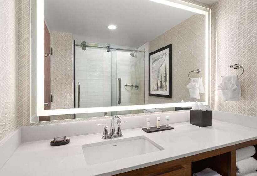 غرفة بريميوم, Embassy Suites By Hilton At Hot Springs Convention Center