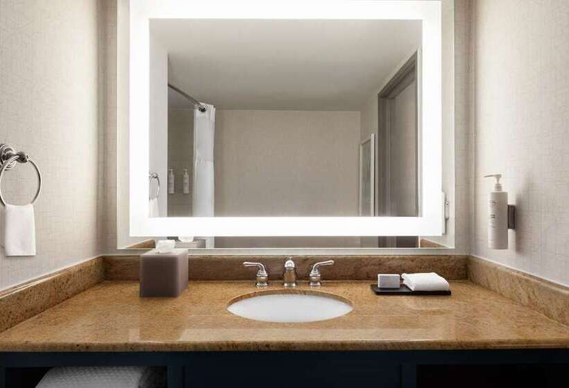 جناح سرير كينج, Embassy Suites By Hilton At Hot Springs Convention Center