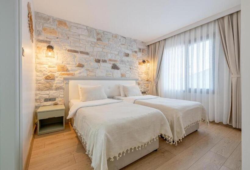اتاق استاندارد, Hanedan Otel