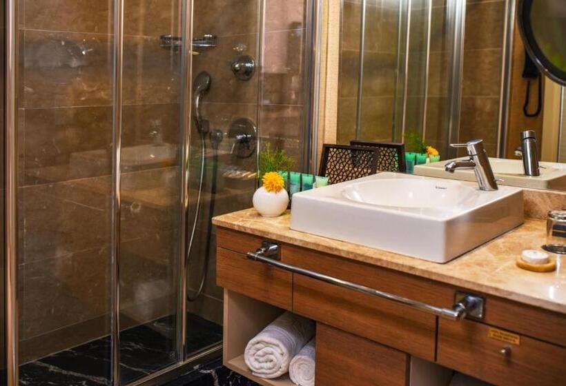 اتاق استاندارد, Cratos Premium Hotel Casino & Spa