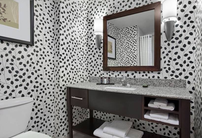Люкс, Embassy Suites Buffalo