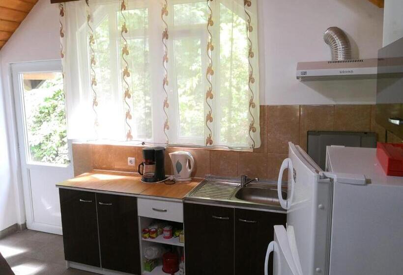 خانه 4 خوابه, Casa De Vacanta Aurelia