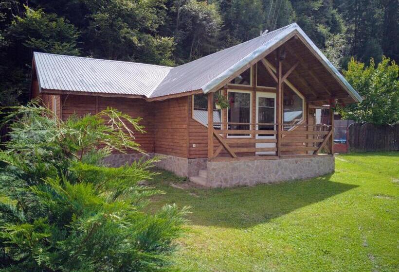 خانه 4 خوابه, Casa De Vacanta Aurelia