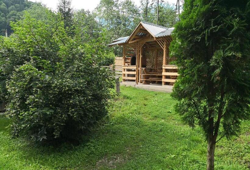 خانه 4 خوابه, Casa De Vacanta Aurelia