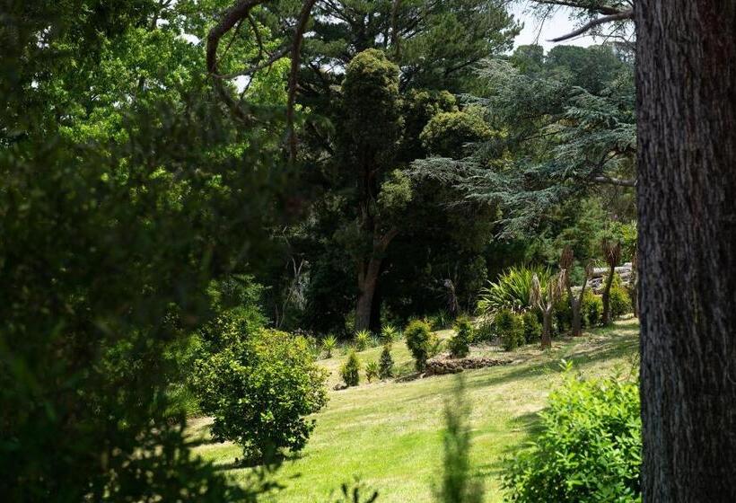 디럭스 스위트, Pirralilla Estate Adelaide Hills