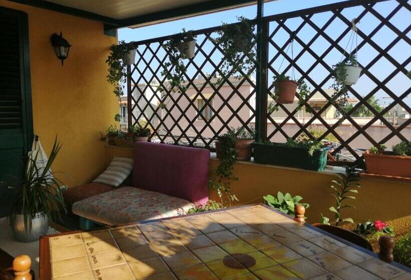 Quarto Estandar, Green House