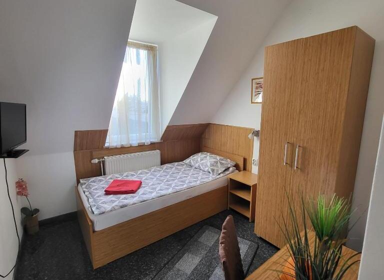 单人经济间, Pension Haus Baron 1 Neckarau