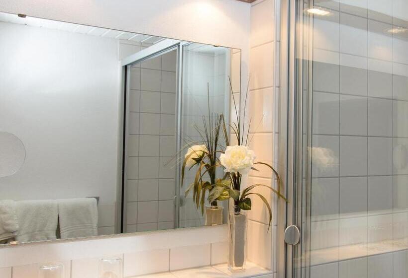 Номер Стандарт, Arthotel Ana Flair